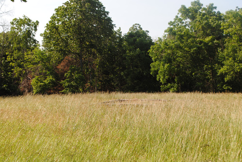 Clemens Field and House Foundation at Pea Ridge National Military Park