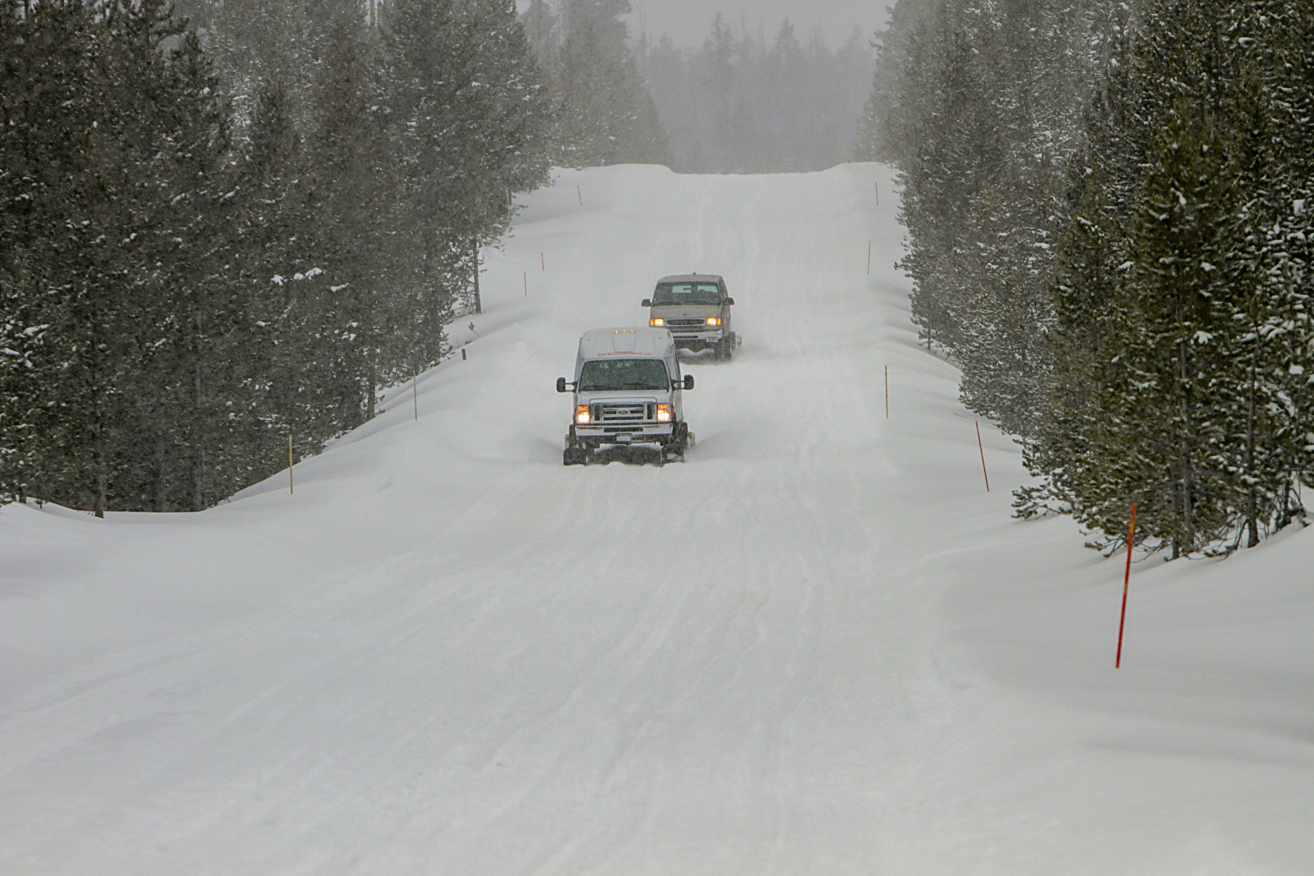 Two snowcoaches traveling on a snowpacked road towards the camera