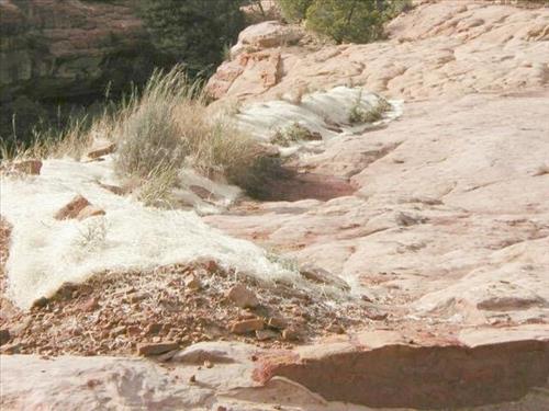 Erosion control mechanisms above cliff dwellings following the Long Mesa fire, Mesa Verde National Park