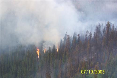 Views of Trapper Fire, Glacier National Park