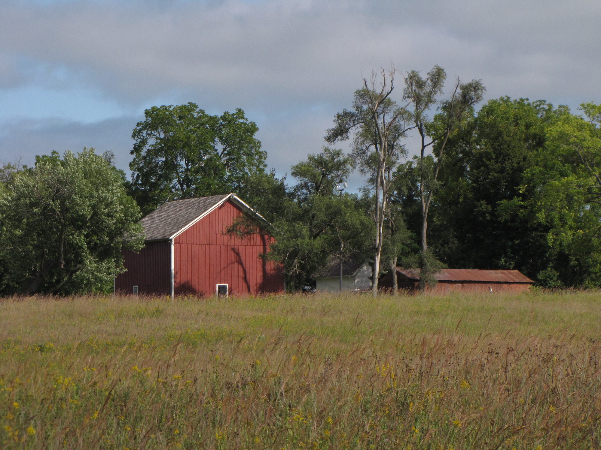 A red barn stands out among other farm buildings that overlook a prairie.