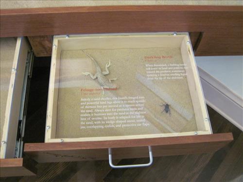 Mojave National Preserve Kelso Depot Visitor Center Exhibits 1 of 5