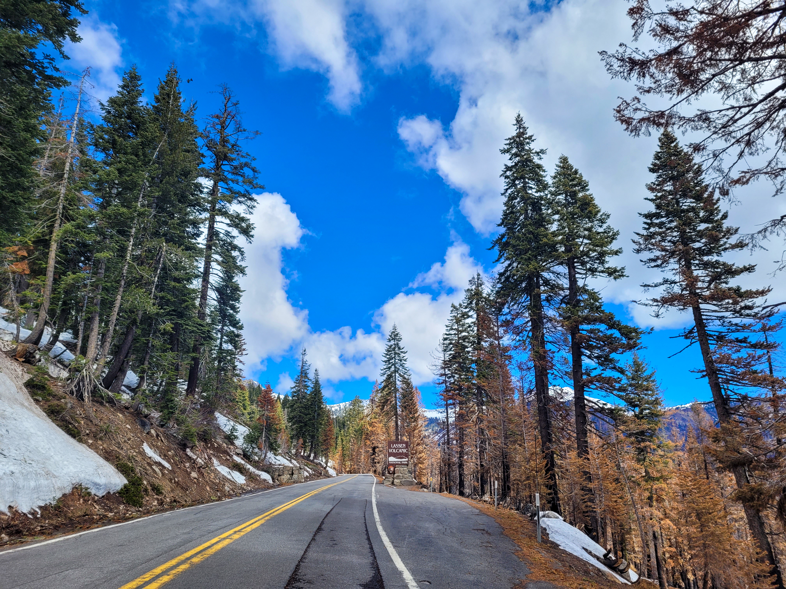 A color photo of a wooden entrance sign that reads "Lassen Volcanic" along a highway. The highway is lined by conifer trees. Most trees on the right were burned by a recent wildfire.