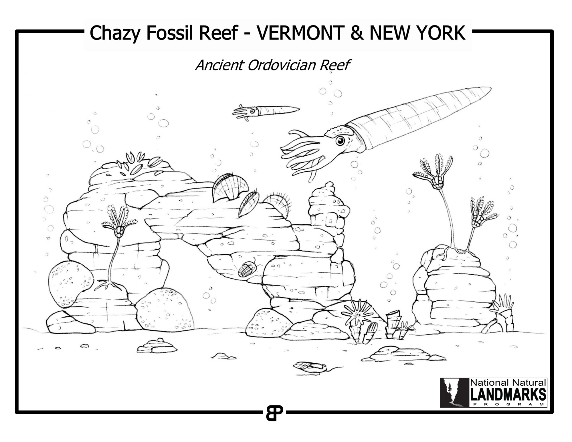 Black and white line drawing of an ancient coral reef