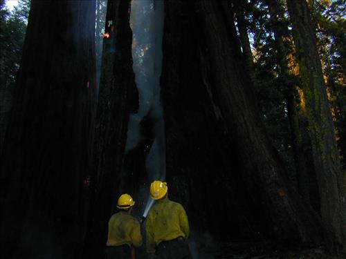Giant wildfire used for resource benefit, Sequoia and Kings Canyon National Parks, summer 2003