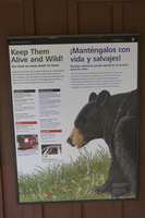 A white panel with black border has informational text and a large illustration of a black bear on it. 