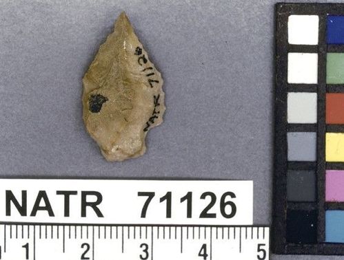 NATR   71126 -- Collins projectile point