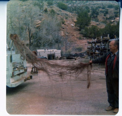 Personnel performing maintenance activities.