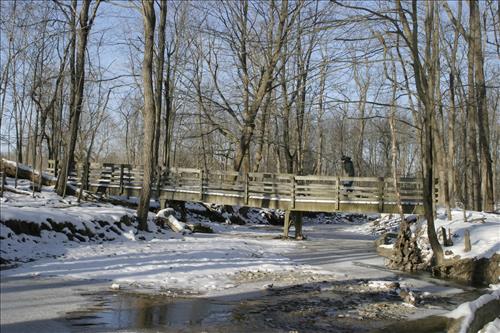 Winter Hiking at Stanford