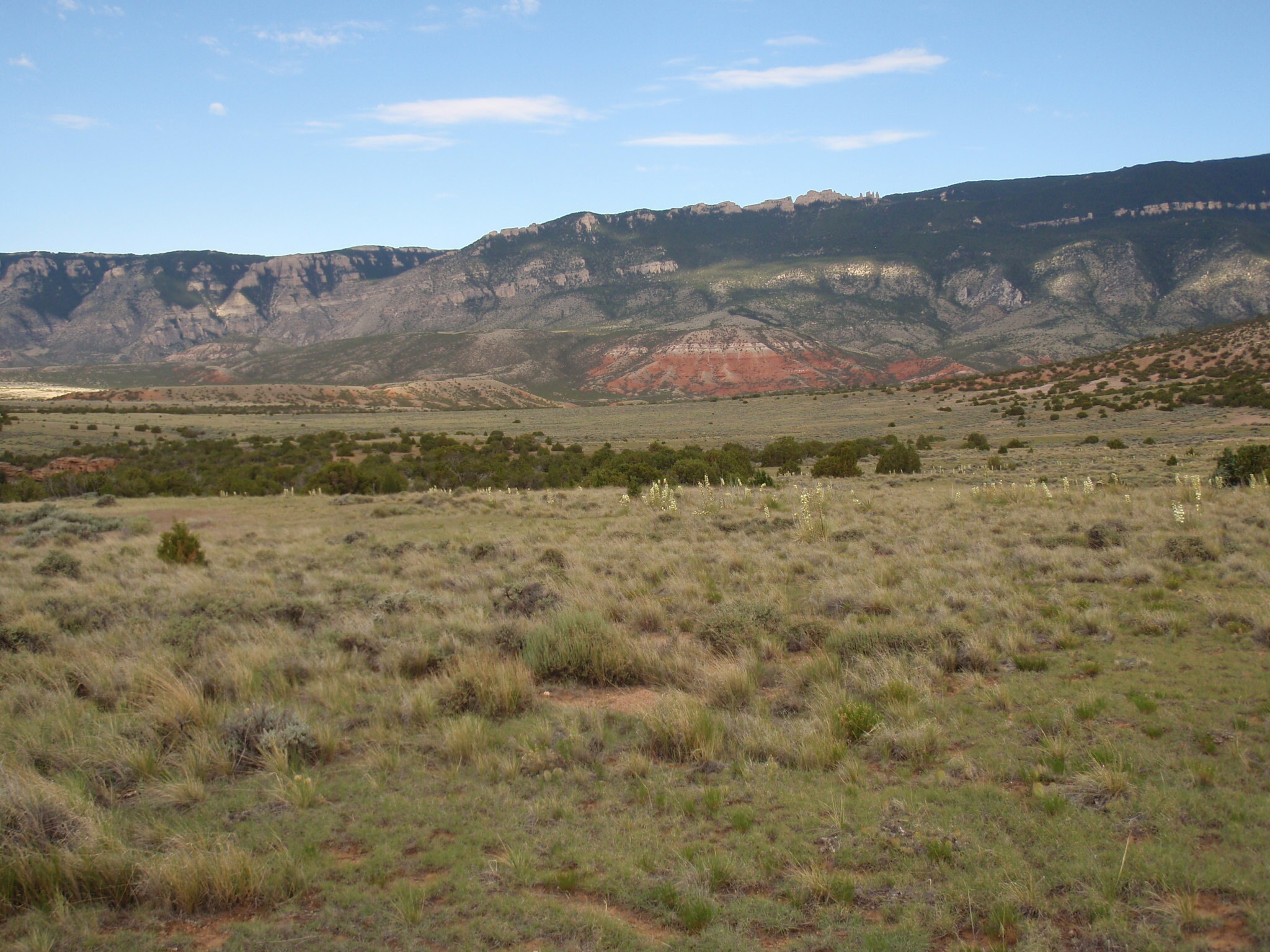 Image of the vegetation and landscape at photo point in Bighorn Canyon NRA 