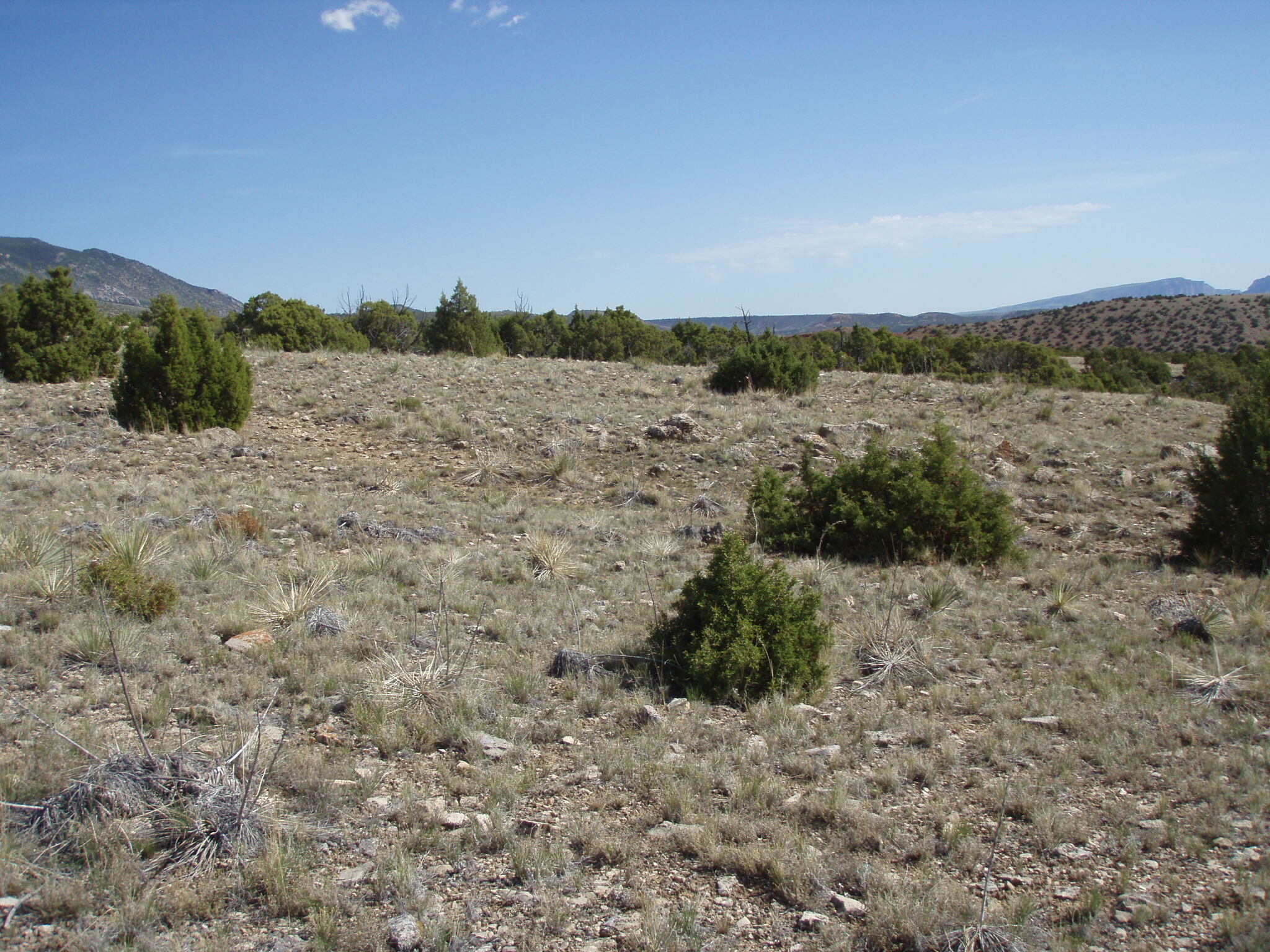 Image of the vegetation and landscape at photo point in Bighorn Canyon NRA 