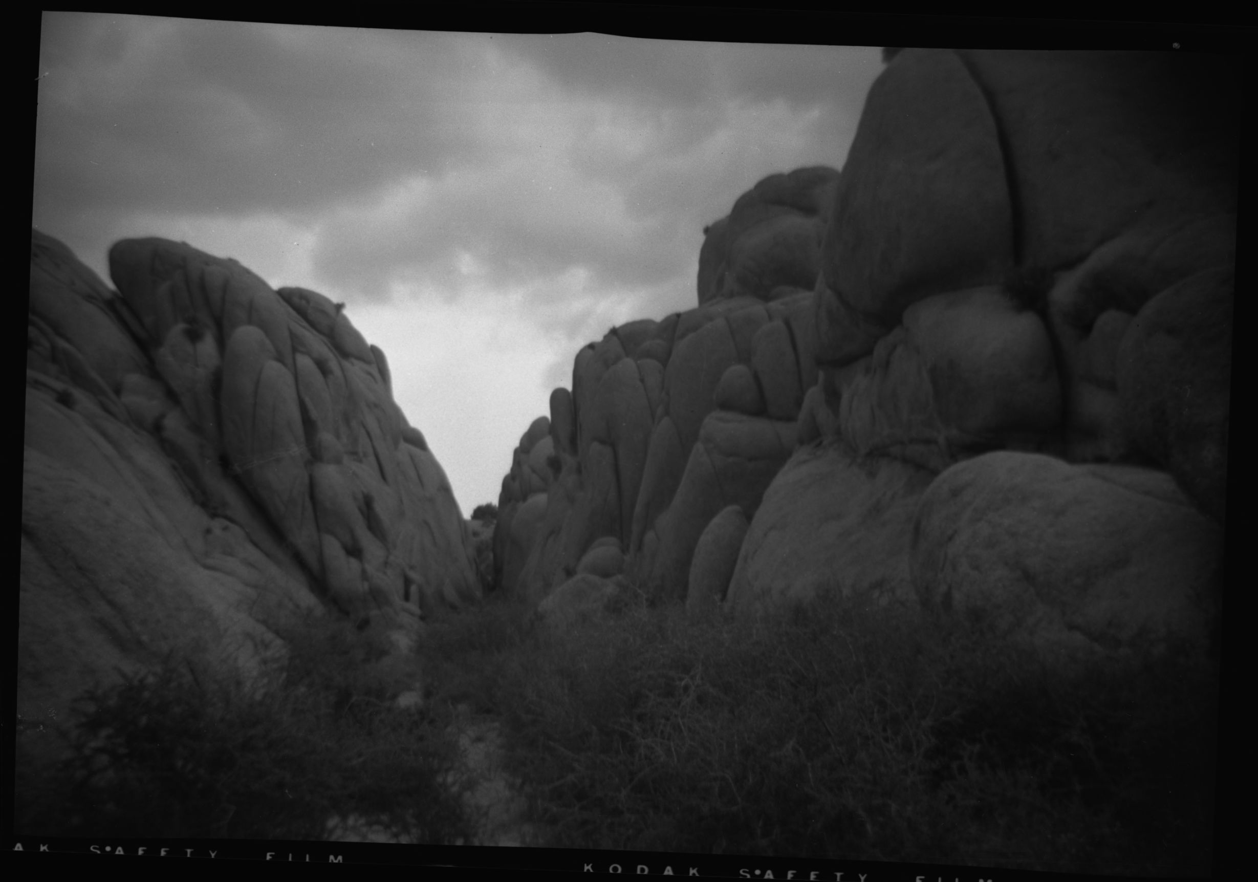 SEKI Roberts Collection Series: 2 Negatives; 10 Outside of the Park