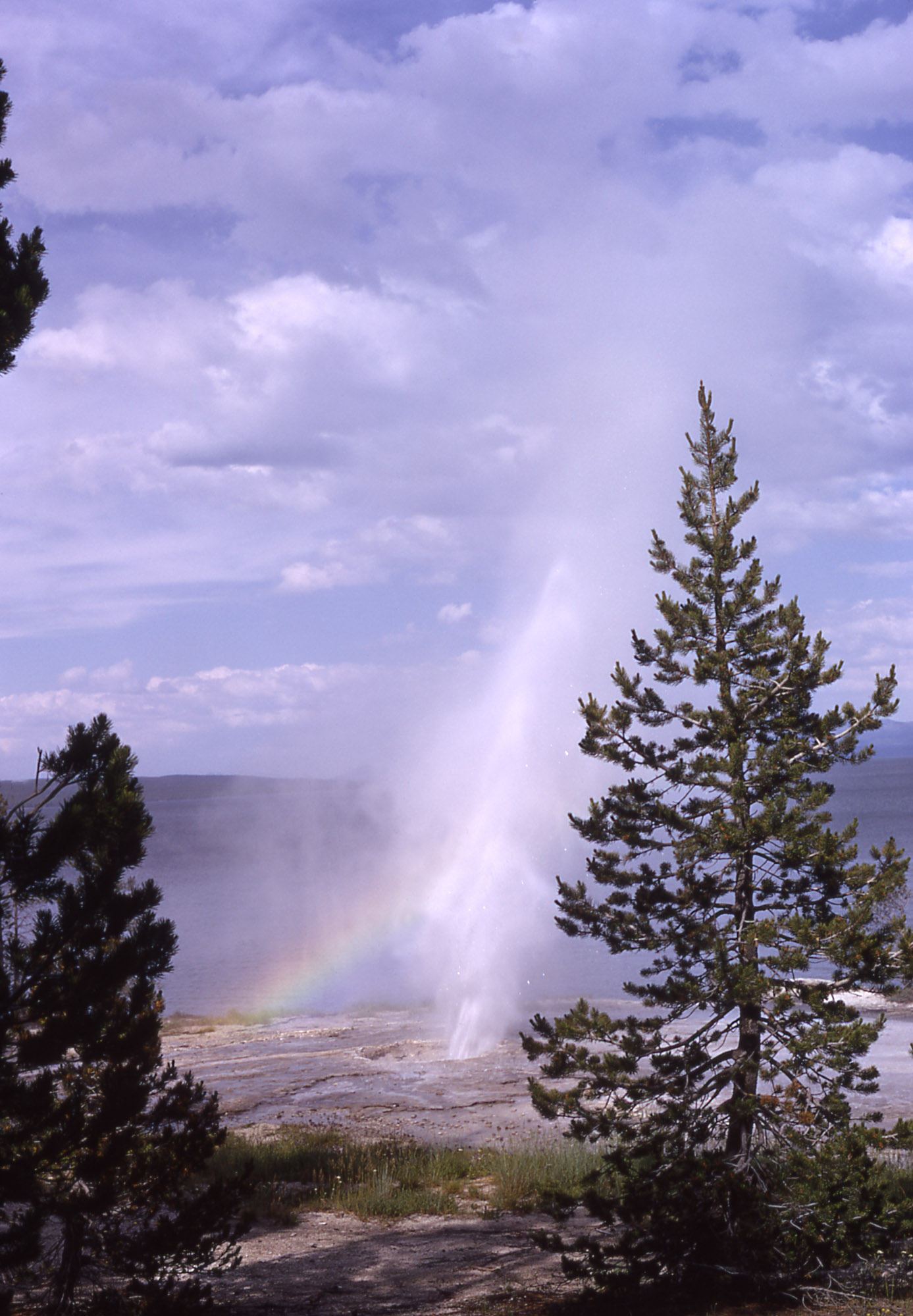 A geyser erupts high with a rainbow in the background