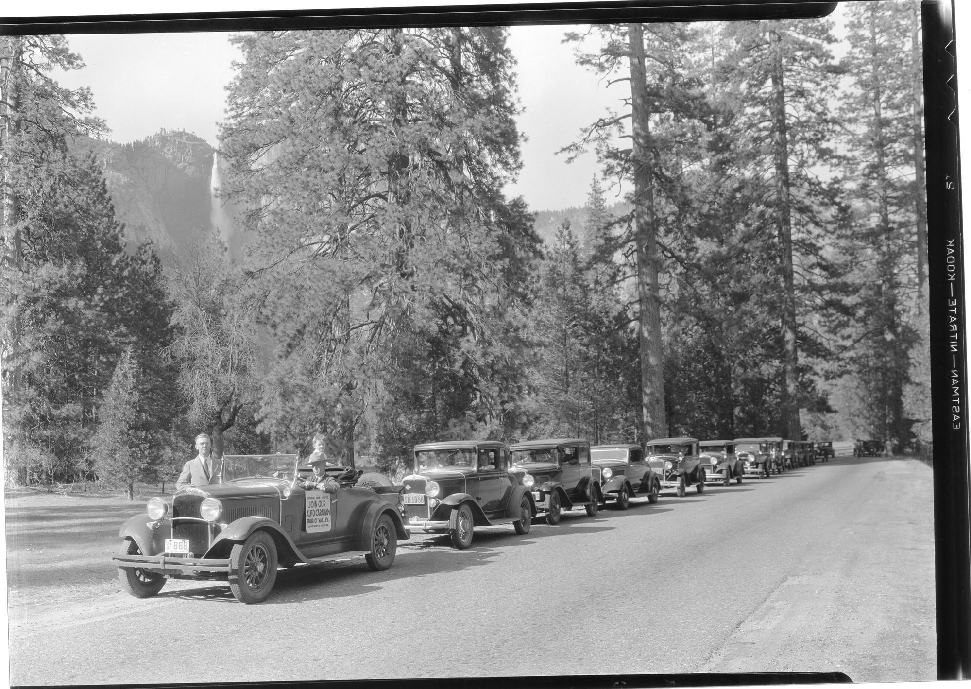 Auto caravan on the occasion of the Muir birthday celebration. Dr. Wm. Bade, author of "Life and Letters of John Muir", in front with Park Naturalist Harwell.