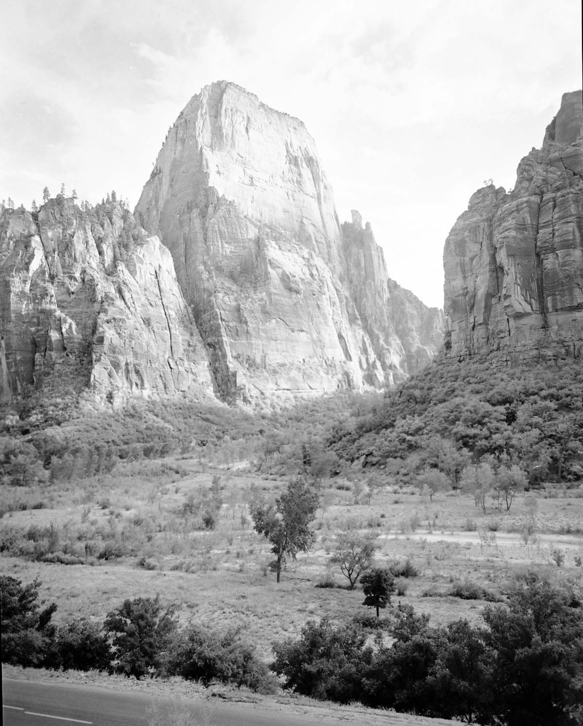 The Great White Throne from across the canyon floor, road in foreground.