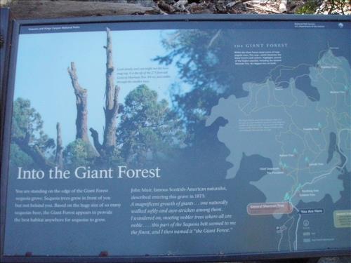 Giant Forest--Sherman Tree Area--waysides--Sequoia and Kings Canyon National Parks--11/2009