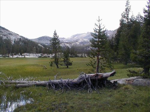 Gallats Lake Meadow in Aug. 2003, Sequoia and Kings Canyon National Park