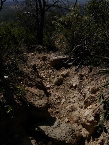 SAGU Saguaro Miller Creek Trail Deficiency Photos 2014 Fall