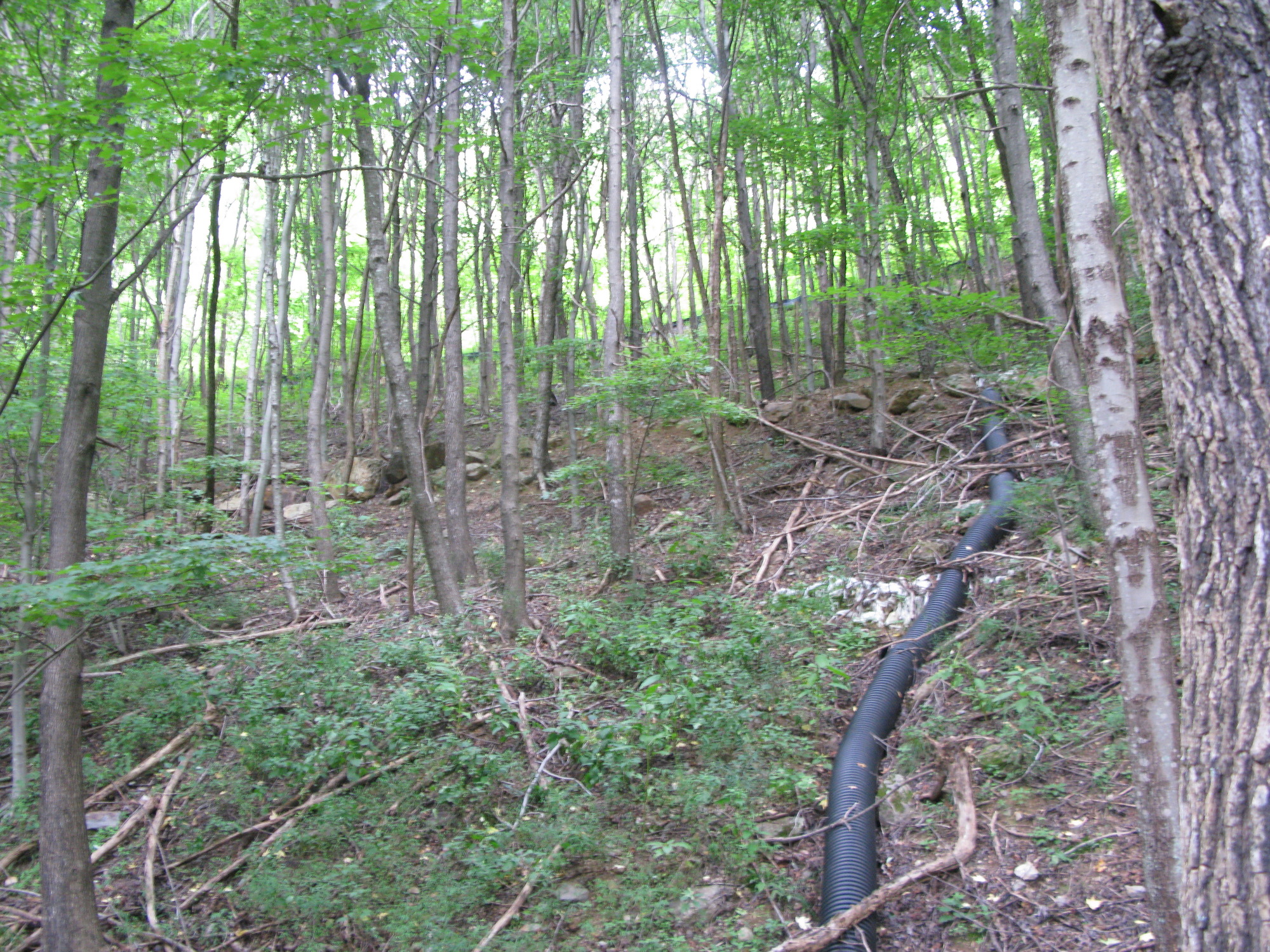 GRSM Accuracy Assessment. Plot Code: GRSM_AA_0707_2