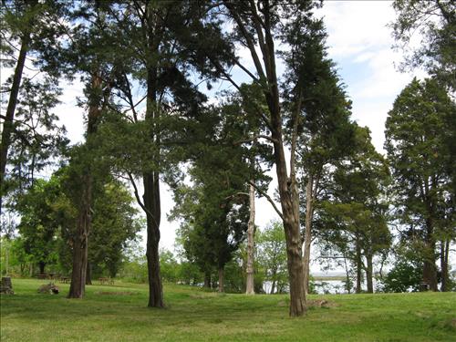 Picnic Area at George Washington Birthplace National Monument in April 2012