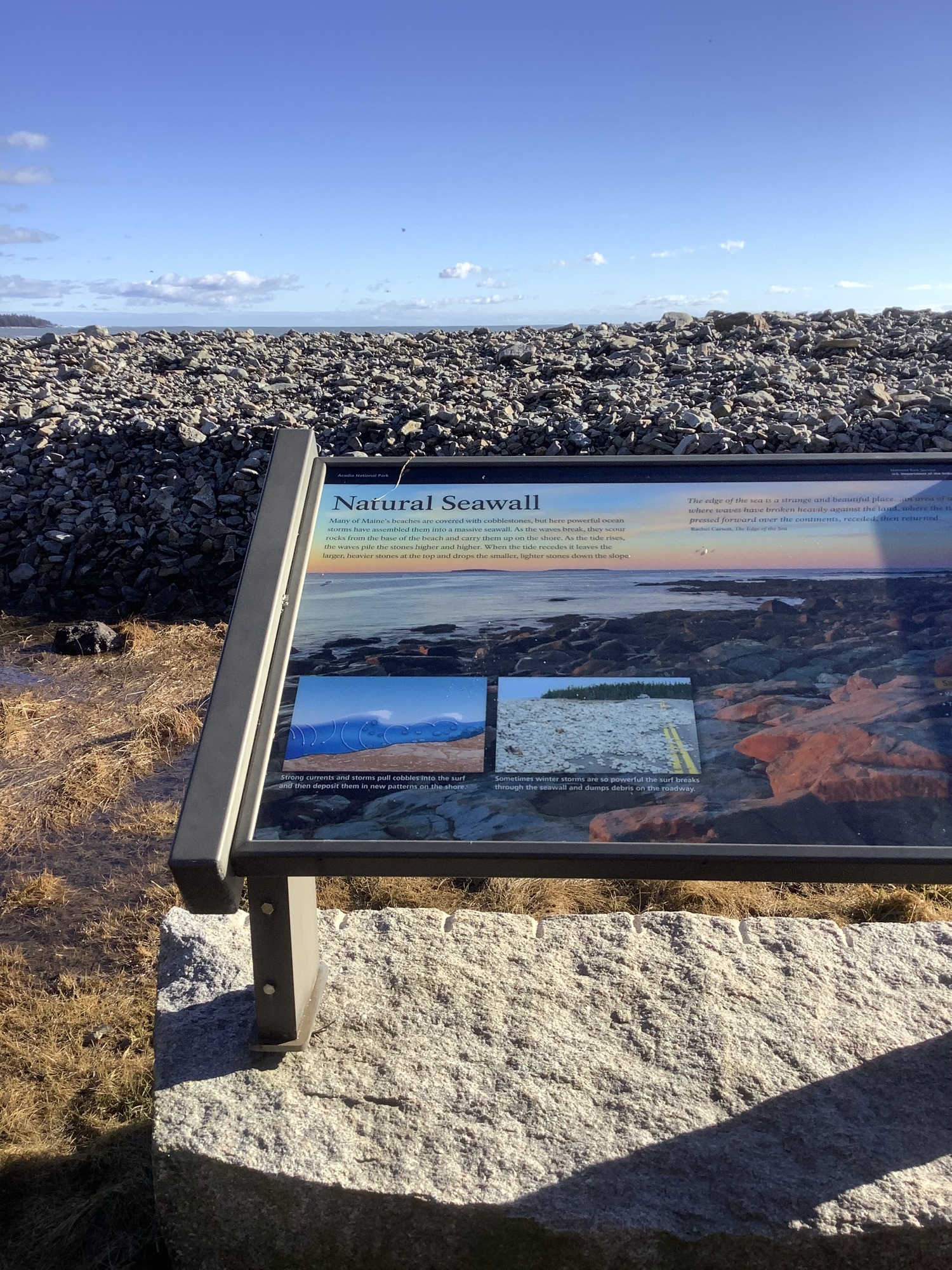 A view of significant cobble debris piled high in the background with an interpretive wayside in the foreground, it contains the text "Natural Seawall"