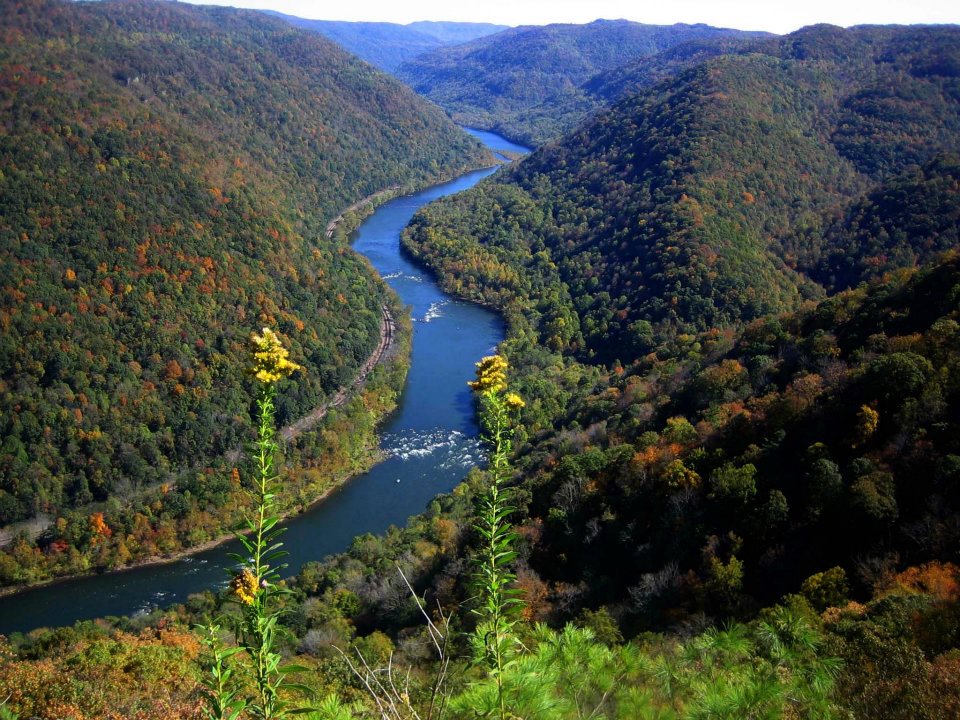 view of deep, forested gorge with hints of fall colors
