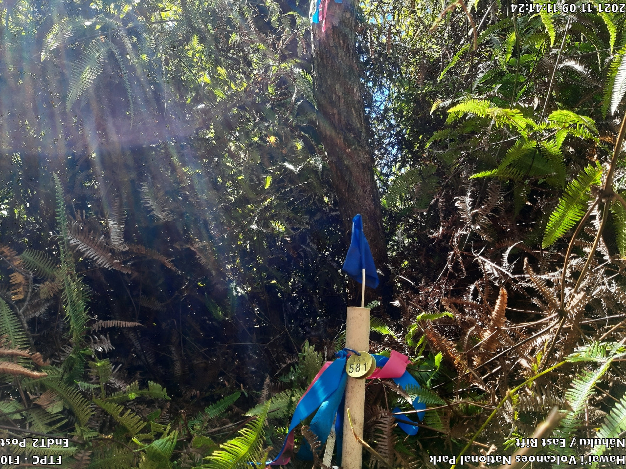 Photo of plot marker for relocation
