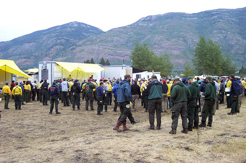 large group of firefighters gather outside