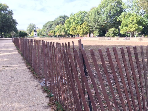 Turf Improvement - Seeding and Fencing: Center Panel, Lincoln Park, 10/28/14