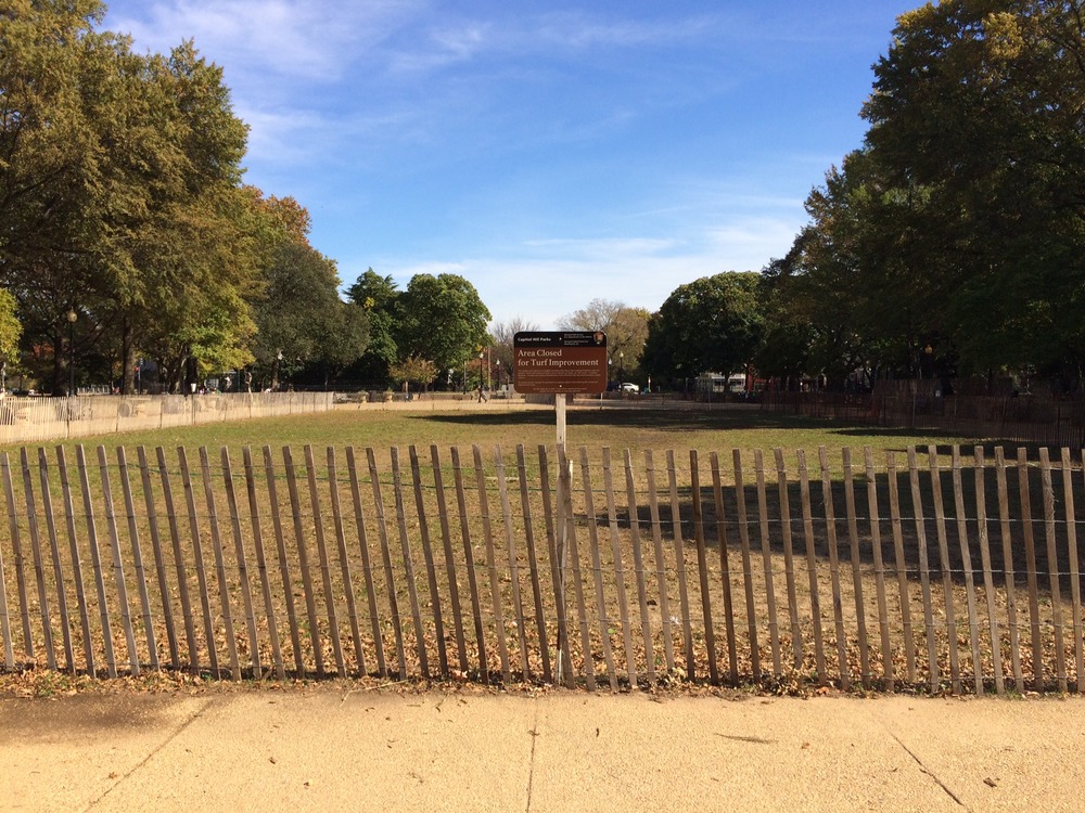 Turf Improvement - Seeding and Fencing: Center Panel, Lincoln Park, 10/28/14