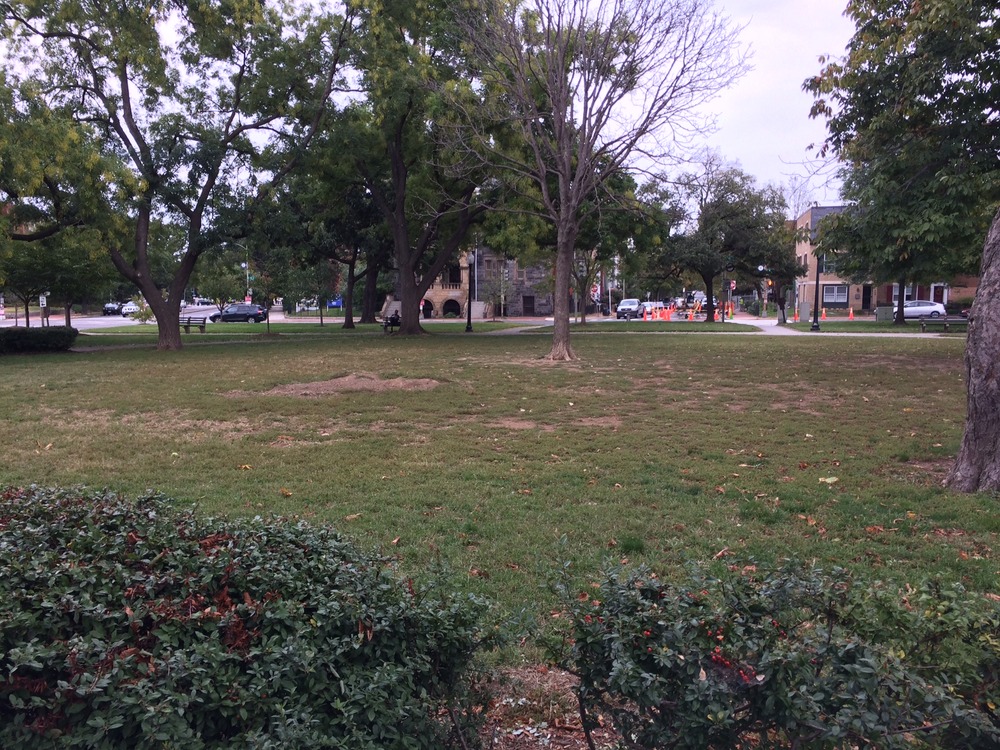 Pre-Turf Improvement: Eastern Center Panel, Stanton Park, 10/9/14