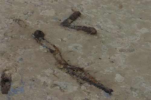 Fossilized shrimp burrow