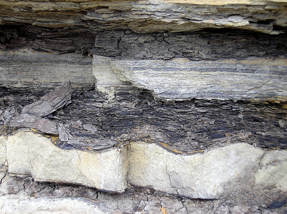 Lagoon deposit in Menefee Formation.