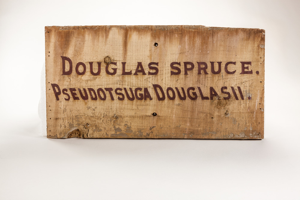 Arboretum sign. The arboretum in Wawona was one of the first educational efforts in Yosemite by Acting Superintendent Major John Bigelow. 