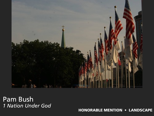 Honorable Mention, Landscape, 2011 View from the Park Photo Contest