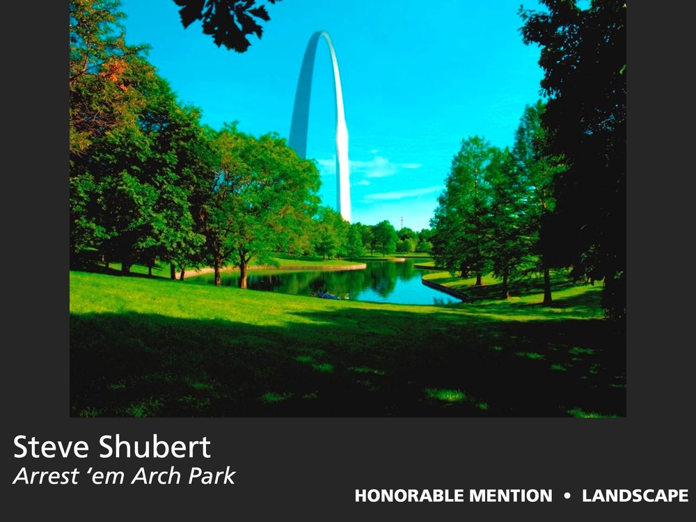 Honorable Mention, Landscape, 2011 View from the Park Photo Contest