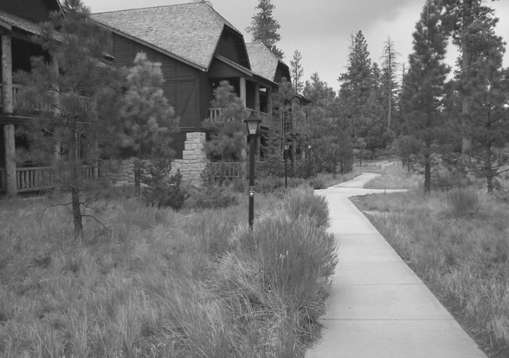 Young trees grow to similar heights around the two-story motel structure.  A walkway is surrounded by grass.