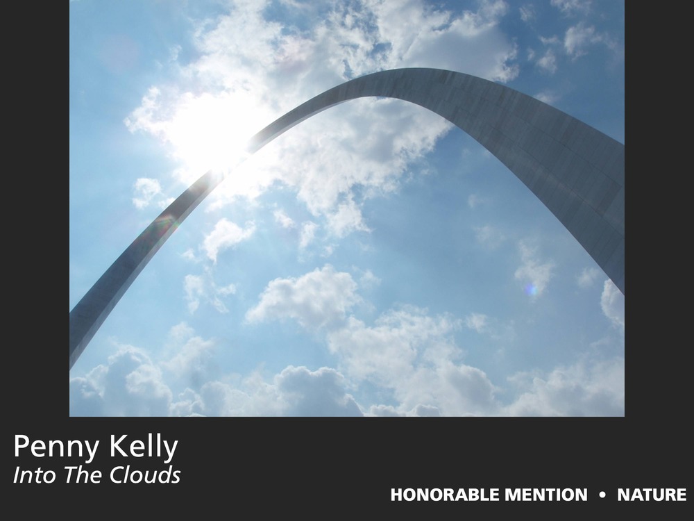 Honorable Mention, Nature, 2011 View from the Park Photo Contest