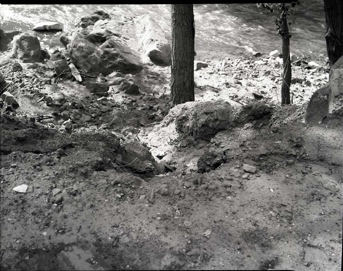 Site of visitor fall on bank of Virgin River.