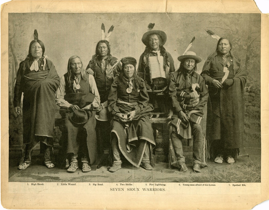 Seven Lakota Sioux Warriors: High Hawk, Little Wound, Big Road, Two Strike, Fire Lightening, Young Man Afraid of His Horses, and Spotted Elk