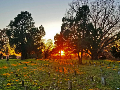Sunbeams shine on rows of headstones and several trees in the National Cemetery. 