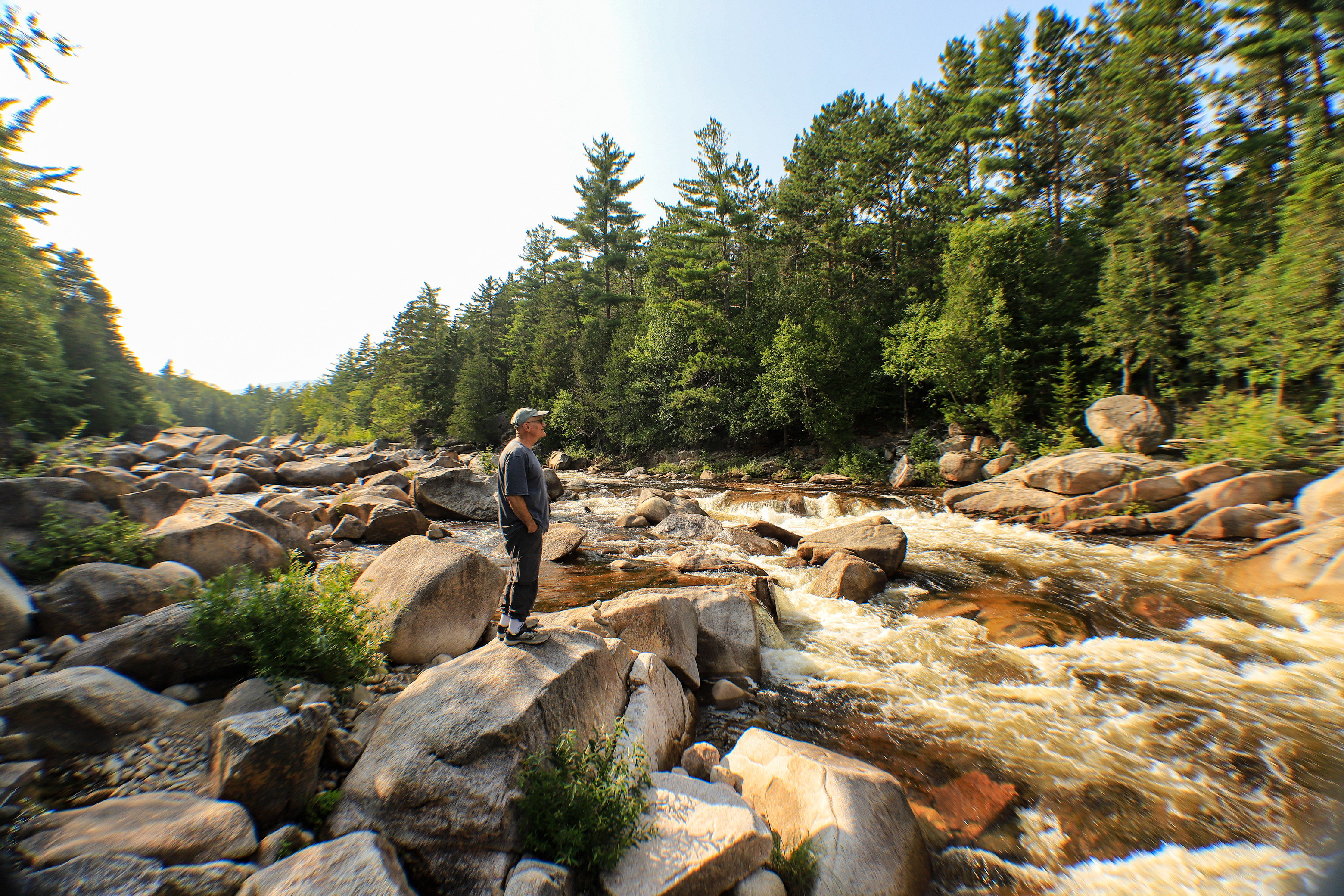 A man looking up at the trees. A white water river rushes past many boulders