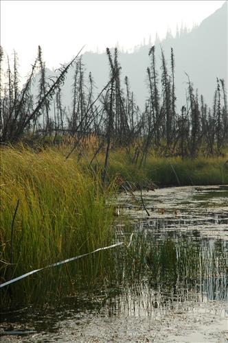 1 Water Quality Testing in Yukon-Charley Rivers National Preserve, August 2005