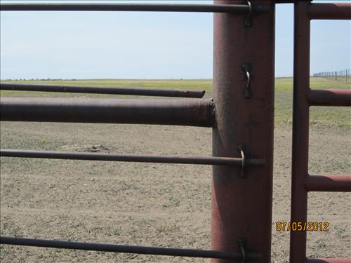 BADL_Bison_Corral_Fence_and_Compound