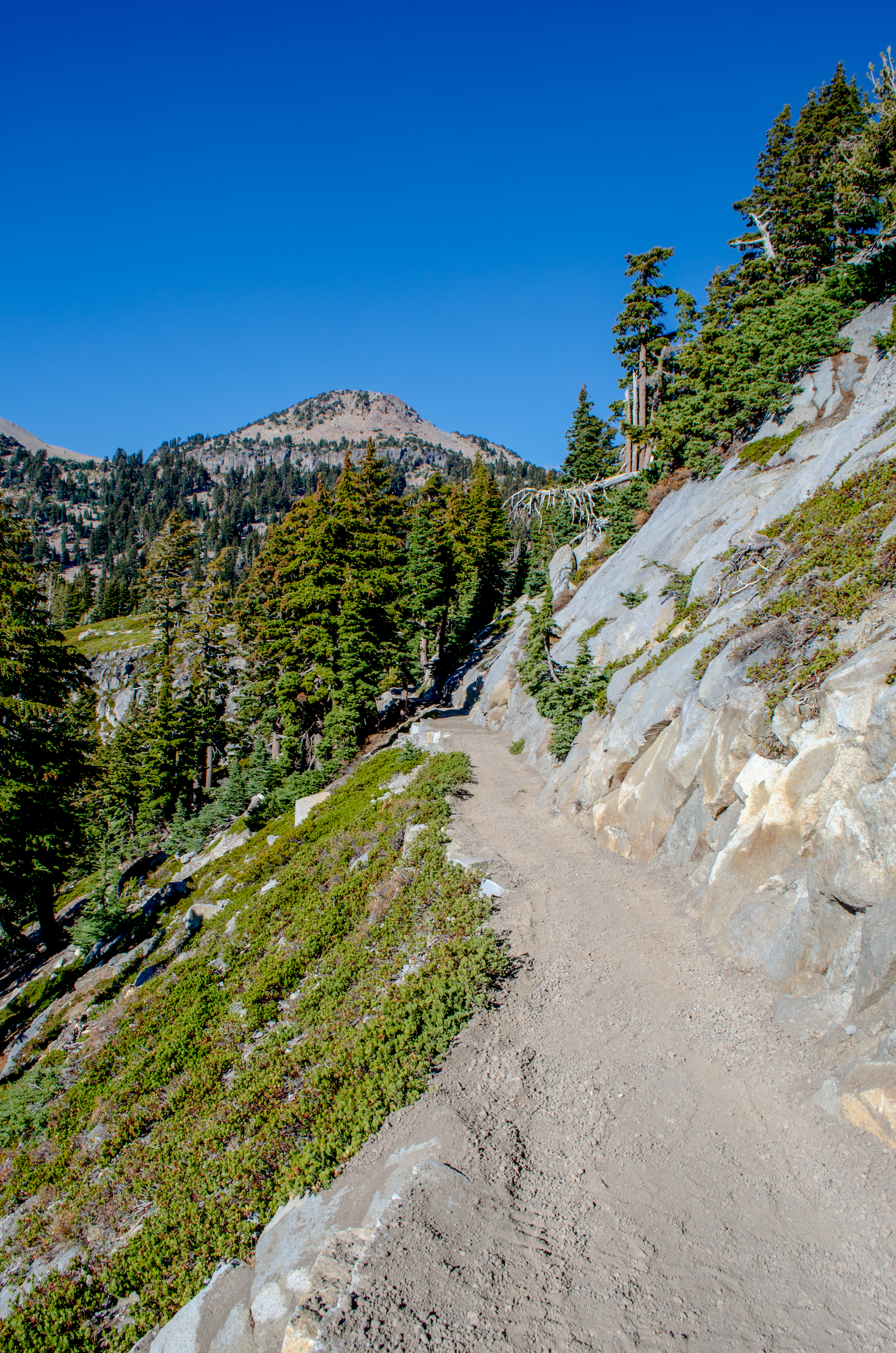 A smooth gravel trails passes along side a steep slope lined by large conifer trees. 