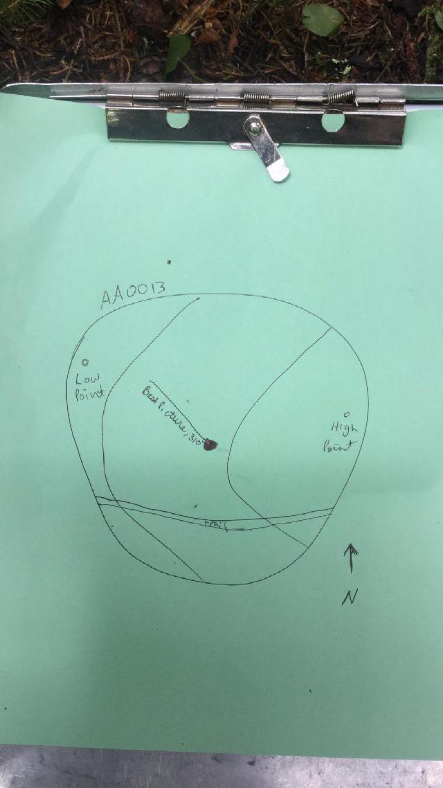 GRSM Accuracy Assessment. Plot Code: GRSM_AA_0013_map