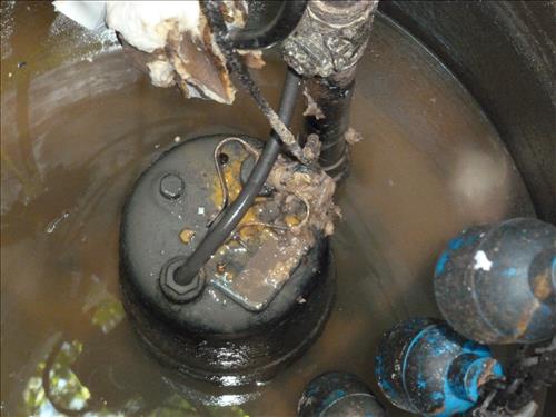 Replace 6 Sewage Pumps in Cabin Camps 1 and 4