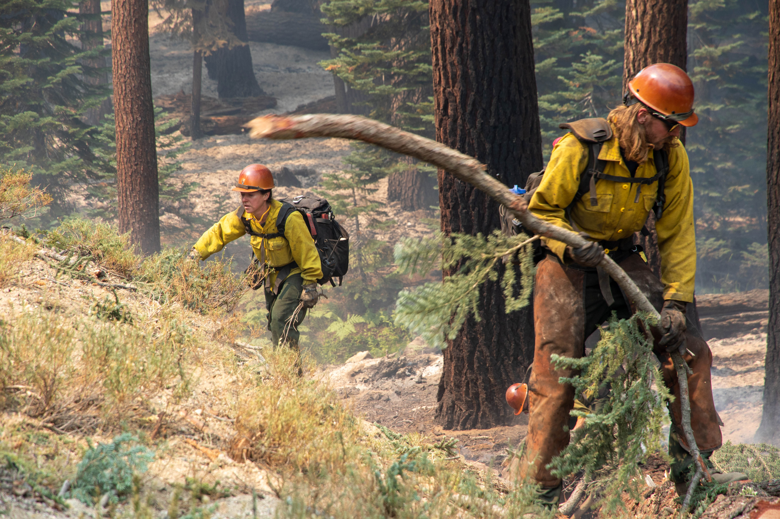 Wildland firefighters walk through wooded areas with smoke and fire around them