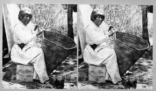 Native American Mary, Yosemite Miwok. Putting a new rimstick on and repairing a Western Mono Burden basket. Copied from a Boysen stereograph (Cat. #8405 - YNP Coll.)