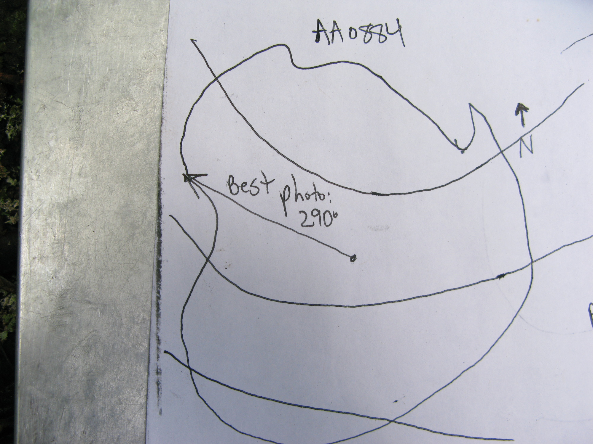 GRSM Accuracy Assessment. Plot Code: GRSM_AA_0884_7